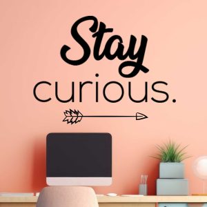 Motivational Quotes Wall Art - Stay Curious Inspirational Decal - Positive Workplace Wall Sticker WD770